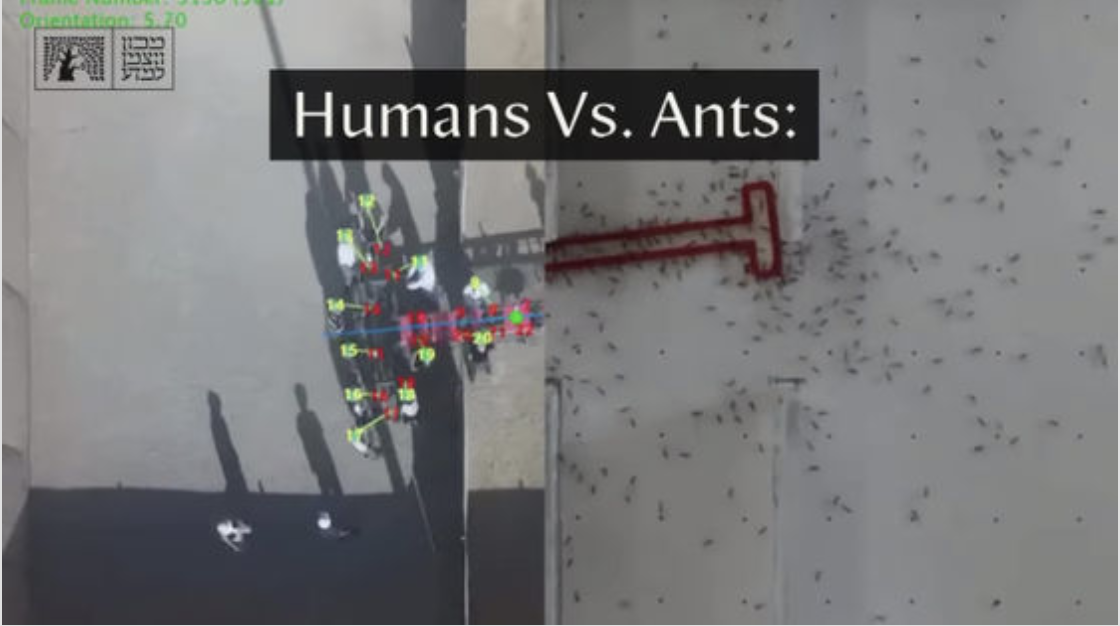 file-20260716202508902.png